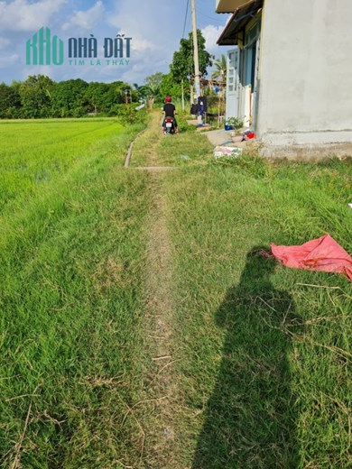 BAN 10.000M2 DAT THO CU THI TRAN DUC HOA ,  DUC HOA , LONG AN