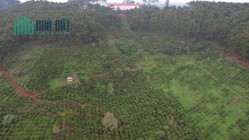 SỞ HỮU NGAY LÔ Đất Vị Trí Siêu Đẹp - Giá Siêu Tốt Tại Xã Tân Châu, Di Linh, Lâm Đồng