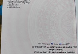 Đất phân lô đường 36m trục du lịch Tây Thiên - Vân Trục  100m2, Giá 2.2x tỷ