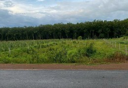 đất Long Nguyên _ Bàu Bàng _ Bình Dương ngộp rẻ