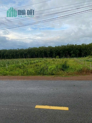 đất Long Nguyên _ Bàu Bàng _ Bình Dương ngộp rẻ