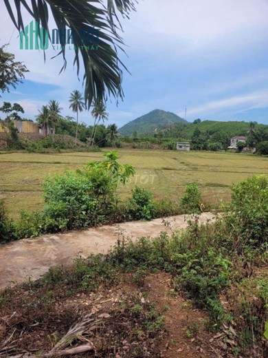 ĐẤT CHÍNH CHỦ - Sở Hữu Ngay Lô Đất Full Thổ Cư Thôn Tùng Sơn, Hòa Sơn, Hòa Vang, Đà Nẵng