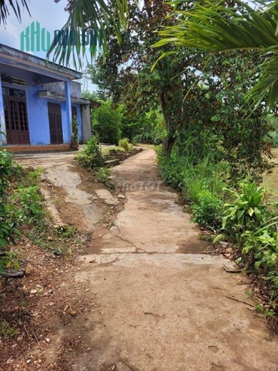 ĐẤT CHÍNH CHỦ - Sở Hữu Ngay Lô Đất Full Thổ Cư Thôn Tùng Sơn, Hòa Sơn, Hòa Vang, Đà Nẵng