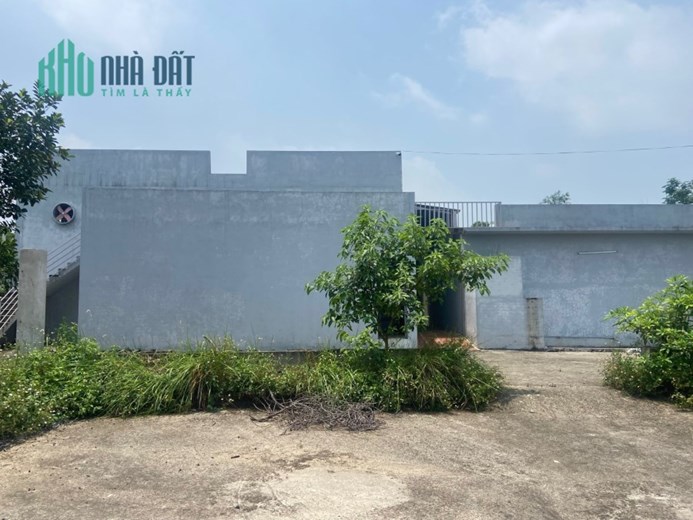 Chính chủ bán gấp 1293m2 lô góc hai mặt tiền có sẵn kho xưởng tại Minh Phú Sóc Sơn đường container