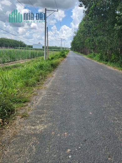 ĐẤT ĐẸP - GIÁ TỐT - Cần Bán Lô Đất Vị Trí Đắc Địa Tại Huyện Tân Biên, Tây Ninh