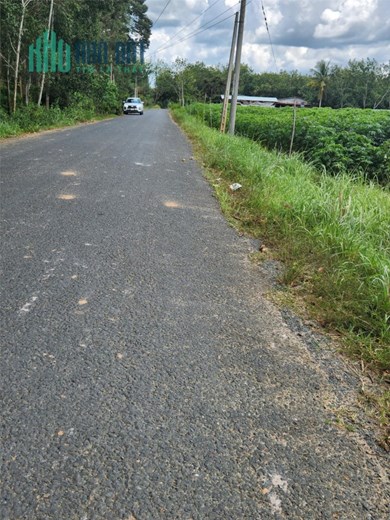 ĐẤT ĐẸP - GIÁ TỐT - Cần Bán Lô Đất Vị Trí Đắc Địa Tại Huyện Tân Biên, Tây Ninh
