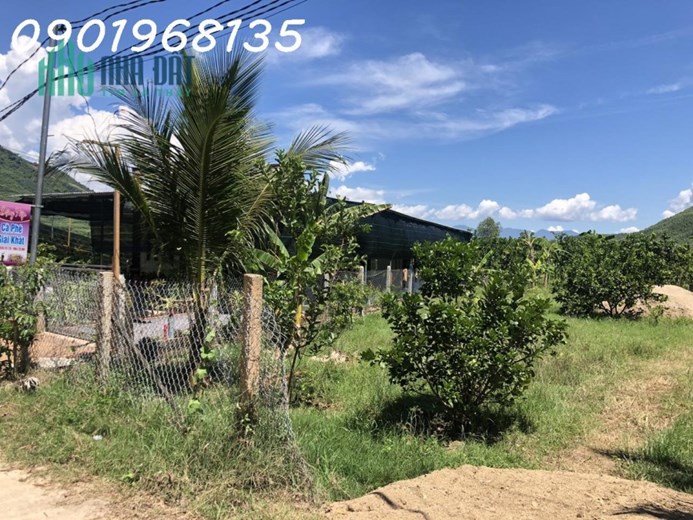 Đất Diên Toàn, đất nhà dân cắt bán, xung quanh đông đúc, điện nước sẳn sàng, liên hệ 0901968135