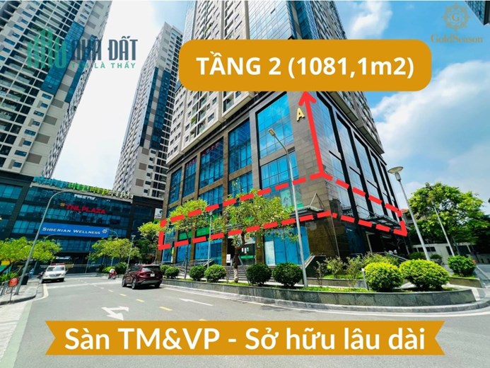 Bán gấp full sàn văn phòng 1081,1m2 - Sổ hồng lâu dài siêu hiếm quận Thanh Xuân - Đang cho thuê thu