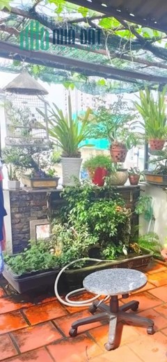Nhà Gò Vấp, Lê Đức Thọ, 48m2, 4PN, nhỉnh 4 tỷ