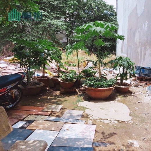 Bán đất hẻm 6m Nguyễn Hữu Tiến quận Tân Phú 4,1 x 21 nhỉnh 6 tỷ TL