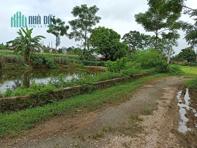 Cần Bán 2113m Đất Ở Tại Nam Phương Tiến Đường Ô Tô Giá 1.7tr/m