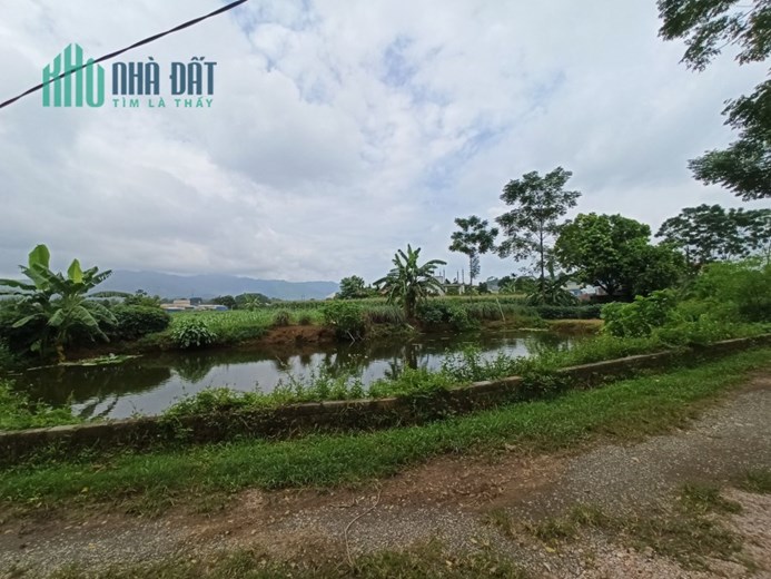 Cần Bán 2113m Đất Ở Tại Nam Phương Tiến Đường Ô Tô Giá 1.7tr/m