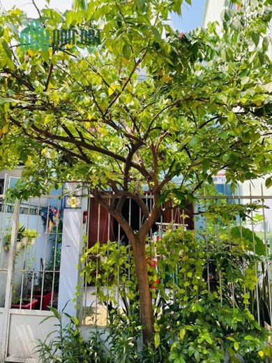 Bán nhà 1 SẸC HẺM XE HƠI - 1 TRỤC RA MT Đường Phú Thọ Hòa, Q.Tân Phú, 68m2(4.1x16.5) vuông