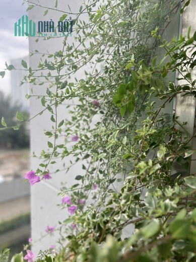 Cho thuê căn hộ River Panorama, 89 Hoàng Quốc Việt, Quận 7
