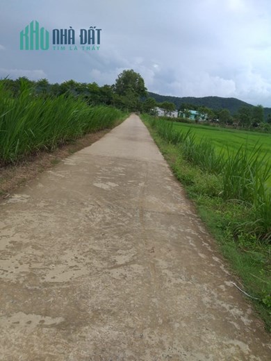 Chính Chủ Cần Bán Đất Huyện Tân Phú