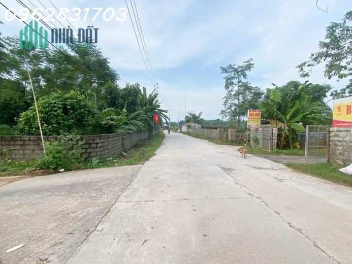 cắt lỗ nhanh 1 tỷ cho lô góc 2 mặt đường diện tích 1000m, đường rộng 7m khu trung tâm