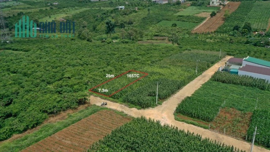 ĐẤT ĐẸP - GIÁ TỐT - Cần Bán Lô Đất Vị Trí Đắc Địa Tại TT Di Linh, Huyện Di Linh, Lâm Đồng