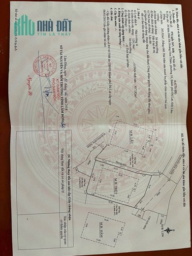 Chính Chủ Về Mỹ Cần Bán Gấp Villa Khách Sạn HẦM ĐÁ ( MÂY LANG THANG) - Vị TRí TP Đà Lạt, Lâm Đồng