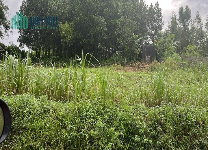 Bán 1911 m2 có 300m2 thổ cư tại, xã Nam Phương Tiến , Chương Mỹ, Hà Nội