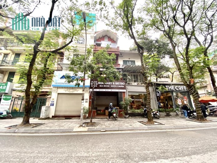 KĐT Định Công, Mặt Phố Trần Nguyên Đán 81m x 4T, Giá Hơn 23 tỷ.