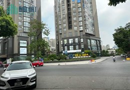 Biệt thự VIP Trung Yên, Cầu Giấy, 310m2, 4 tầng, mặt tiền 20m, giá quá ngon 85 tỷ