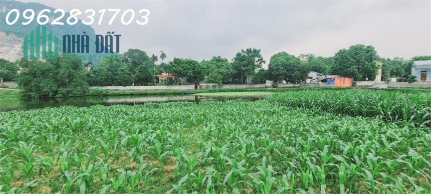 Đất Lương sơn bám ao hồ lớn giá chỉ vài trăm nghìn/m, pháp lý rõ ràng