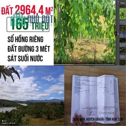 Cắt lỗ sâu lô đất trồng cây lâu năm gần 3000m2 view suối thuộc Đắk Hà, Kon Tum