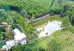 Bán Khu Du Lich Sinh Thái gần Bà Nà Hill, Đà Nẵng, 80Ha, Sông - Núi- Rừng, đang khai thác