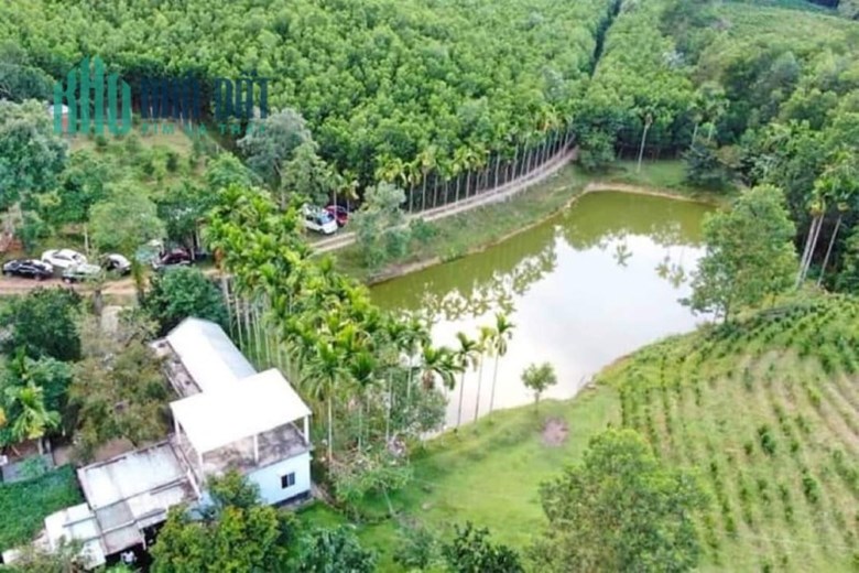 Bán Khu Du Lich Sinh Thái gần Bà Nà Hill, Đà Nẵng, 80Ha, Sông - Núi- Rừng, đang khai thác