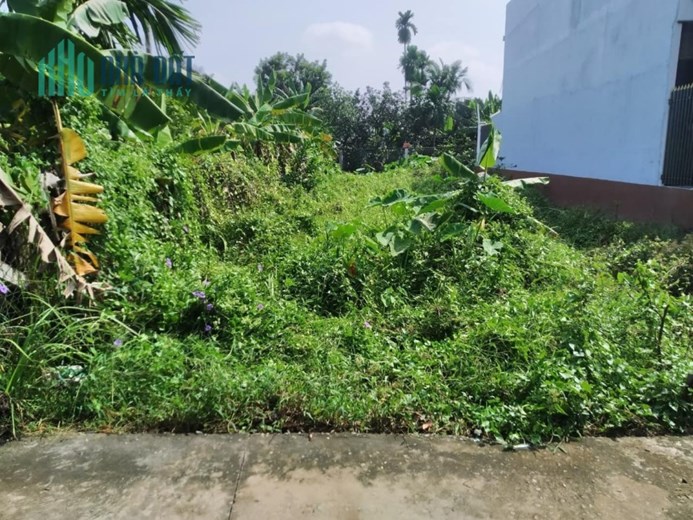 Cần bán gấp Lô Đất 131,8m2 TP Thuận An Giáp ranh Thủ Dầu Một