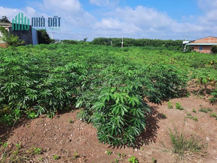 ĐẤT ĐẸP - GIÁ TỐT - Cần Bán Gấp Lô Đất Đẹp Tại Thị trấn Tân Phú, Huyện Đồng Phú, Bình Phước
