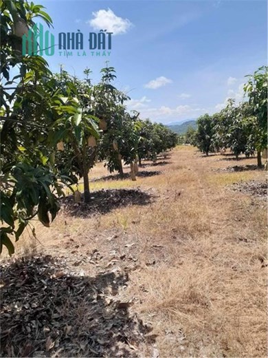 ĐẤT ĐẸP - GIÁ TỐT – Bán Gấp Lô Đất Tại Tại  xã Tân Phúc, Huyện Hàm Tân, Tỉnh Bình Thuận