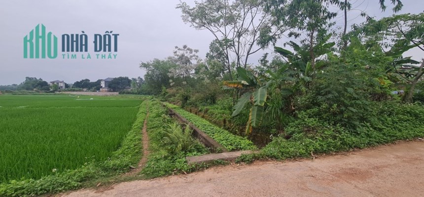 Bán lô đất 2400m đất full thổ cư ,Thôn Quế ,Tam Dương ,Vĩnh phúc - Giá bán 4,xtr/m2