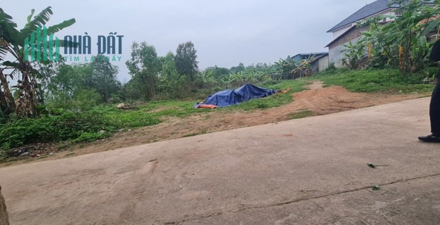 Bán lô đất 2400m đất full thổ cư ,Thôn Quế ,Tam Dương ,Vĩnh phúc - Giá bán 4,xtr/m2