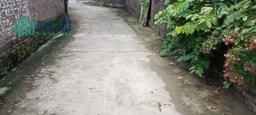 ĐẤT ĐẸP - GIÁ TỐT - Cần Bán Gấp Lô Đất Đẹp Tại Xóm 5, Xã Tráng Việt, Mê Linh, Hà Nội