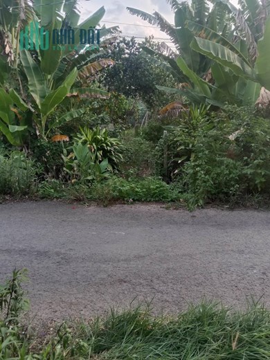 ĐẤT ĐẸP - GIÁ TỐT - Cần Bán Gấp Lô Đất Mặt Tiền Đẹp Tại Xã Tân Phú, Huyện Châu Thành, Đồng Tháp