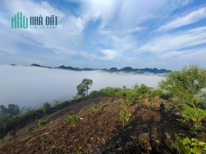 CHÍNH CHỦ Cần Bán Lô Đất  Liền Kề Vị Trí Đắc Địa Tại Mộc Châu, Sơn La