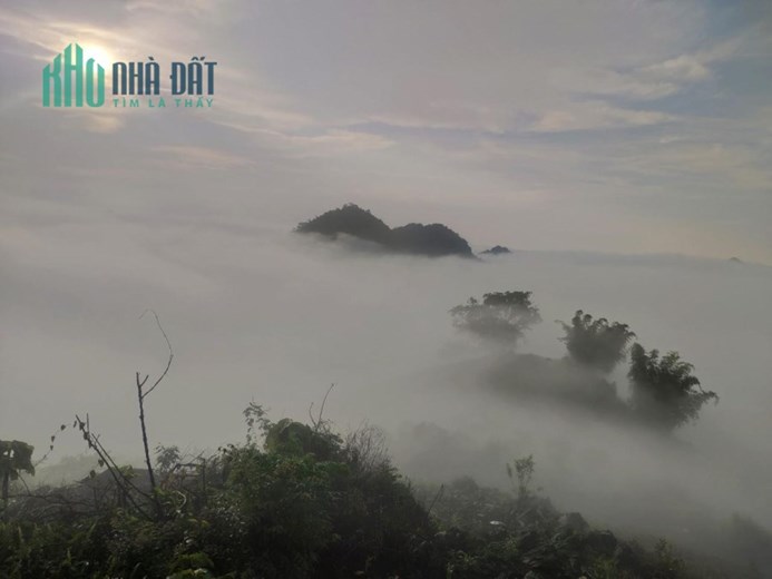 CHÍNH CHỦ Cần Bán Lô Đất  Liền Kề Vị Trí Đắc Địa Tại Mộc Châu, Sơn La
