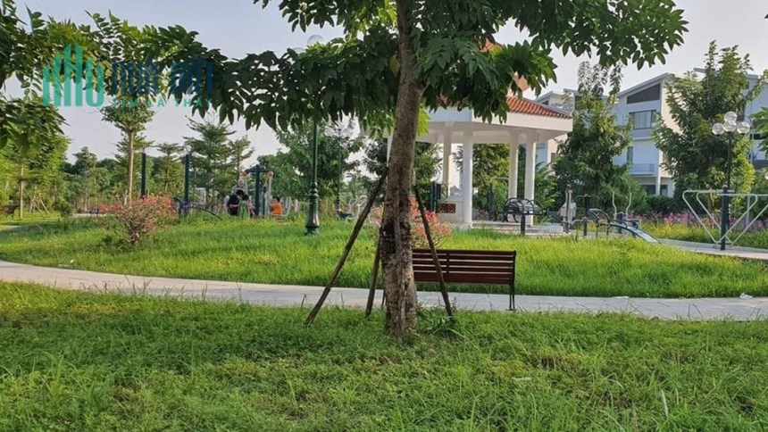 Bán đất Ngọc Thụy, Long Biên cạnh Học viện Hậu Cần, 100m2, ô tô kinh doanh, 8 tỷ