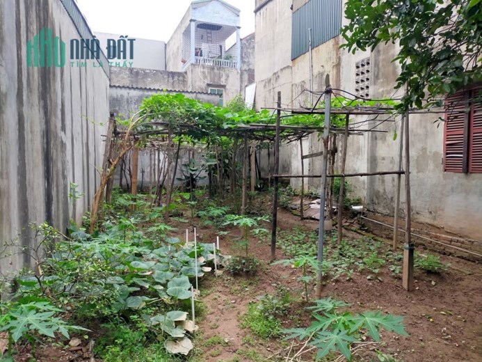 Bán đất Ngọc Thụy, Long Biên cạnh Học viện Hậu Cần, 100m2, ô tô kinh doanh, 8 tỷ