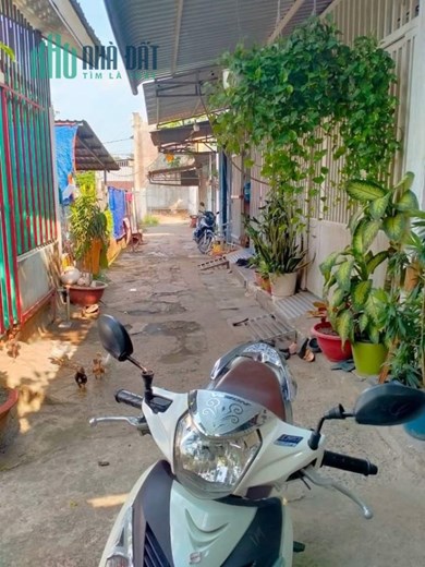 ĐẤT THỔ CƯ KHÔNG LÔ GIỚI ĐƯỜNG 5M