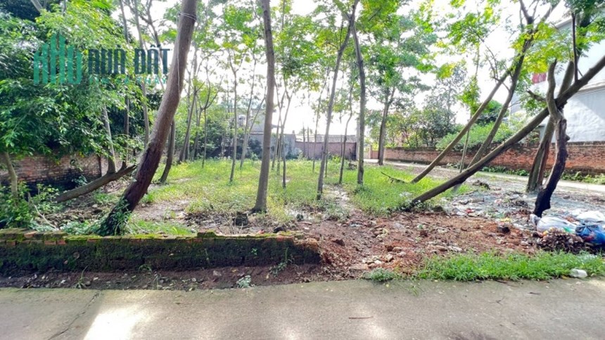 ĐẤT PHÂN LÔ GIÁ RẺ