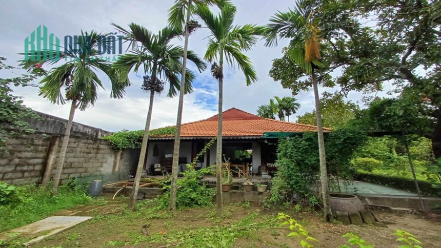 Bán nhà Vườn Lài P.AN PHÚ ĐÔNG Q.12, 1200m2, ngan lớn 40m, giá chỉ 32 tỷ