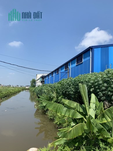 Bán nhà xưởng 7.000 m2 tại An Thái, An Lão, Hải Phòng.