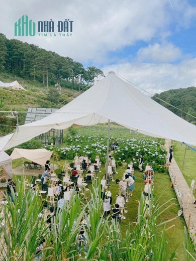 Sang nhượng khu cà phê camping checkin rộng 1,5 hecta tại trung tầm Đà Lạt