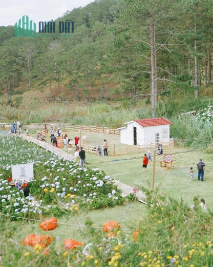 Sang nhượng khu cà phê camping checkin rộng 1,5 hecta tại trung tầm Đà Lạt
