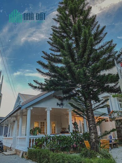 Cho thuê sang nhượng villa mini Hoàng Hoa Thám Đà Lạt