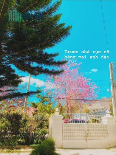 Cho thuê sang nhượng villa mini Hoàng Hoa Thám Đà Lạt