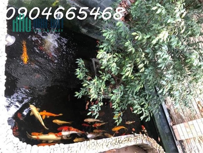 BÁN CĂN BIỆT THỰ SÀI ĐỒNG, LONG BIÊN SIÊU ĐẸP, GIÁ RẺ NHẤT KHU VỰC.