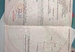 CẦN BÁN ĐẤT Ở TẠI TỔ DÂN PHỐ 1-THỊ TRẤN CÁT BÀ-HUYỆN CÁI HẢI